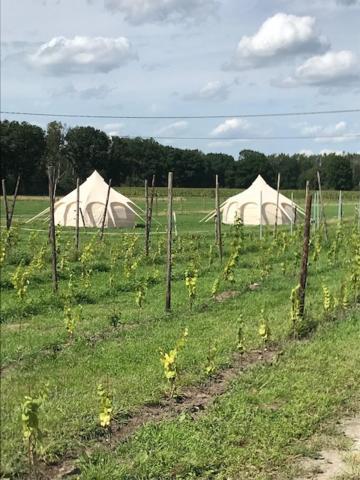 Neerpelt Natuur-Like Glamping In Bosland מראה חיצוני תמונה