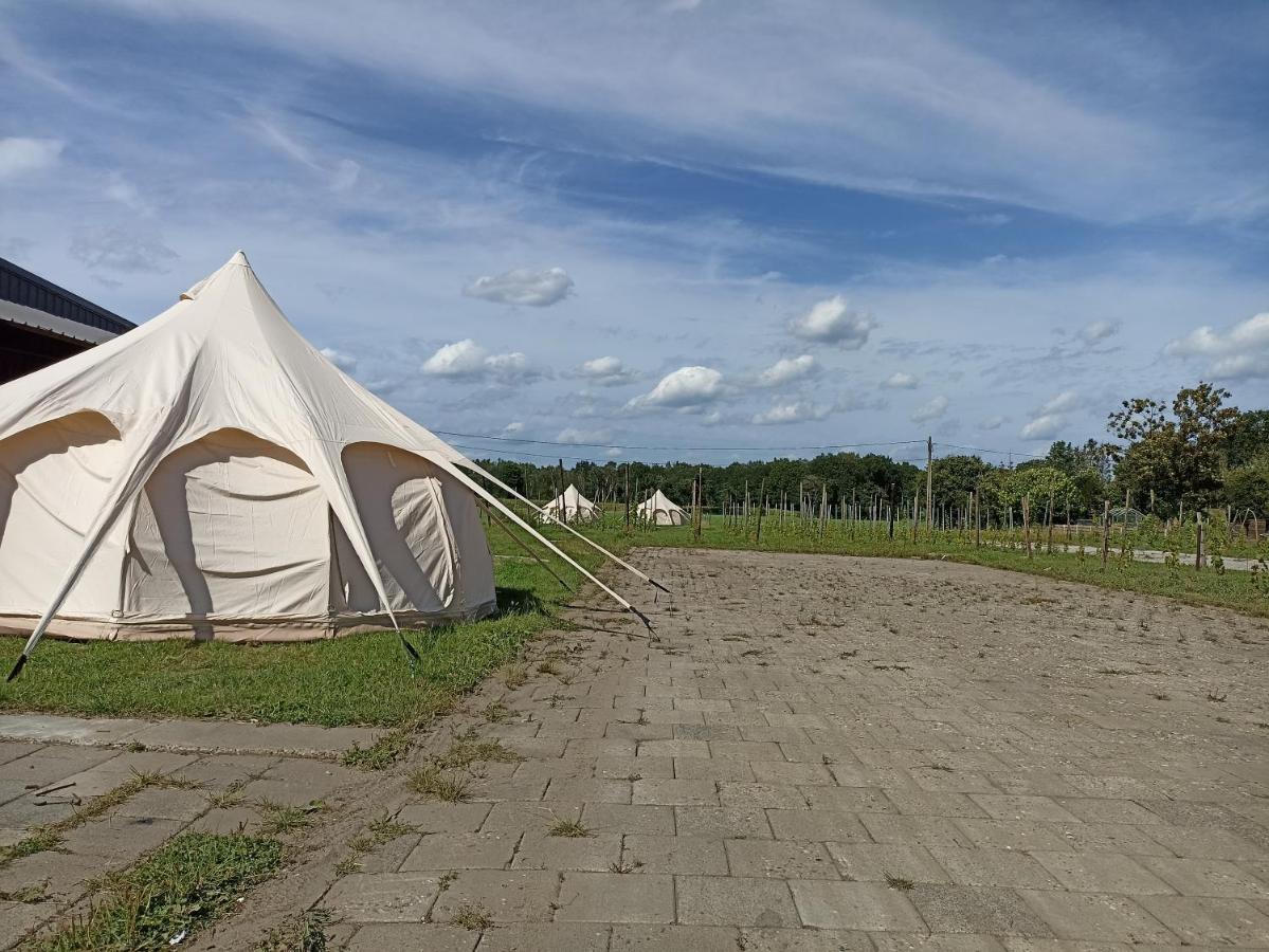 Neerpelt Natuur-Like Glamping In Bosland מראה חיצוני תמונה