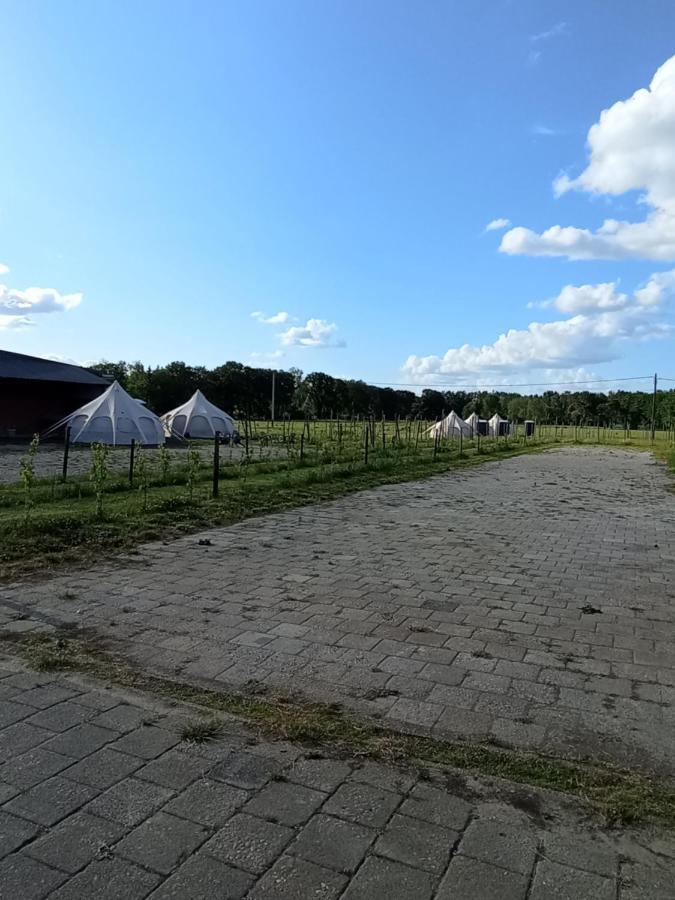 Neerpelt Natuur-Like Glamping In Bosland מראה חיצוני תמונה